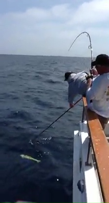 Sport Fishing Videos in San Diego CA